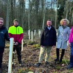 Think global act local – Dentaurum stiftet 400 Bäume für den Hohberg