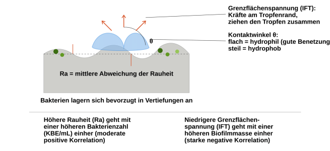 MS_DKW_ResinBiofilm_Abbildung1
